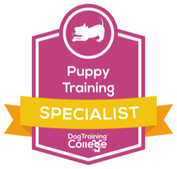 dog training college