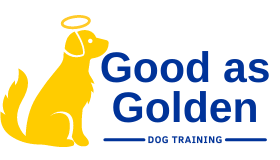 Dog Training Wakefield